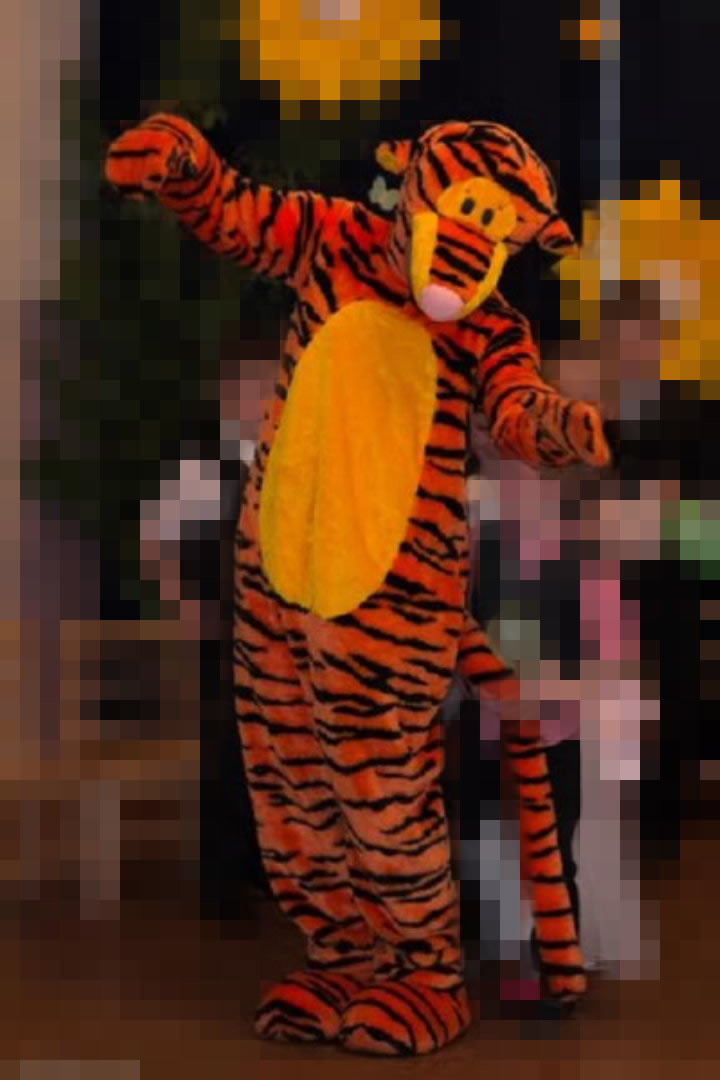 Mascot: Costume of Tigger