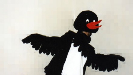 Mascot: Black Stork