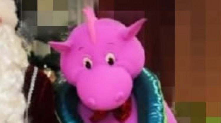Mascot: Costume of the Dragon