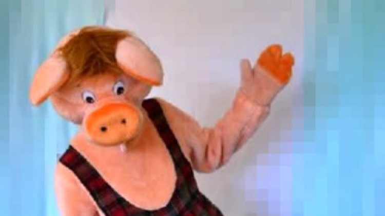 Mascot: Costume of Piggy