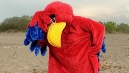 Mascot: Costume of a Red Parrot