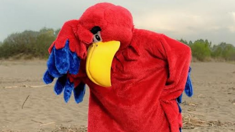 Mascot: Costume of a Red Parrot