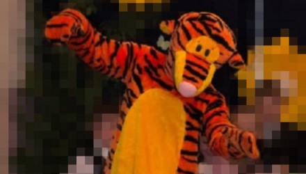 Mascot: Costume of Tigger