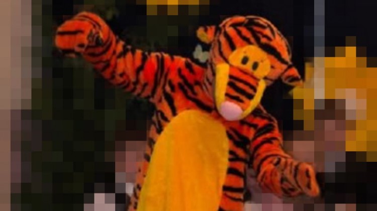 Mascot: Costume of Tigger