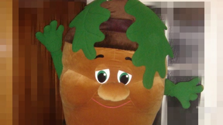 Mascot: Costume of an Acorn