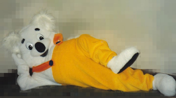 Mascot: Costume of a Koala