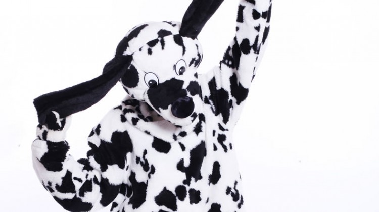 Mascot: Costume of a Dalmatian Dog