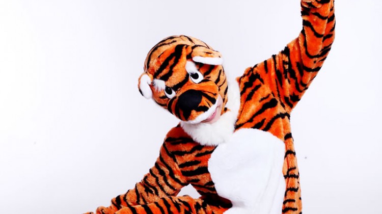 Mascot: Costume of a Tiger