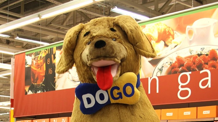 Stationary promo mascot: Dogo dog