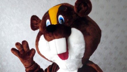 Mascot: Costume of a Beaver