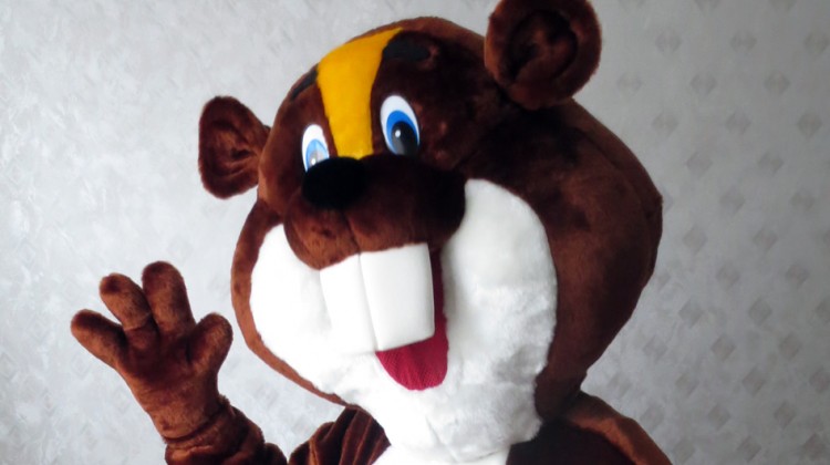 Mascot: Costume of a Beaver