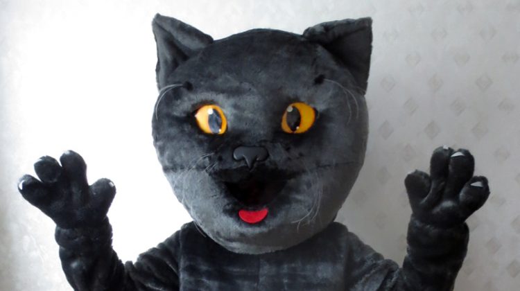 Riga Cup’s mascot: cat costume