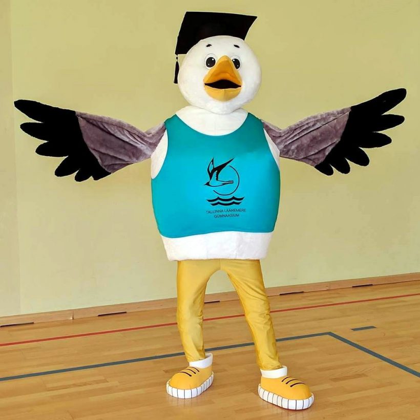 School’s mascot: Seagull costume
